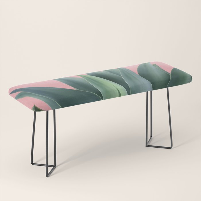 Agave succulent Bench Gallery Image 1