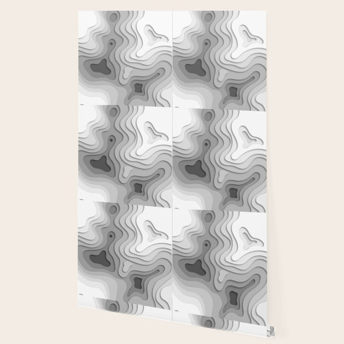 White Topographic Map Wallpaper Gallery Image 2