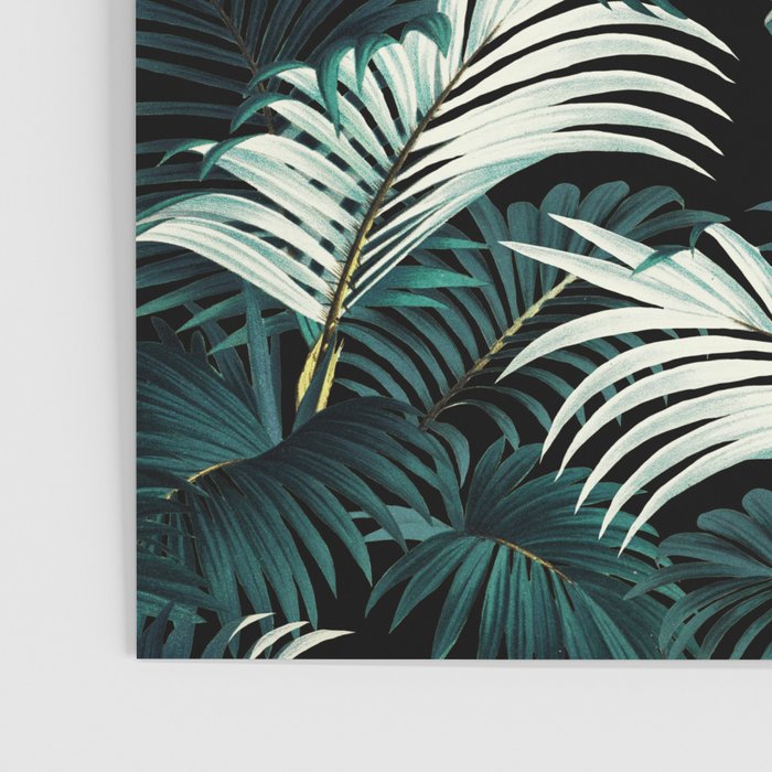 TROPICAL JUNGLE - Night Poster Gallery Image 3