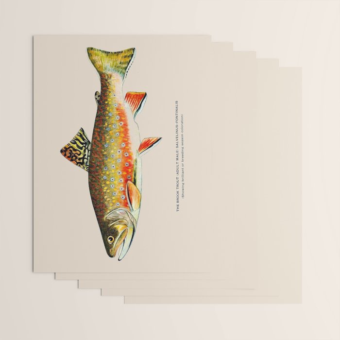 Brook Trout Wrapping Paper Gallery Image 3