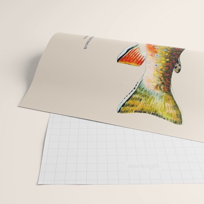 Brook Trout Wrapping Paper Gallery Image 2