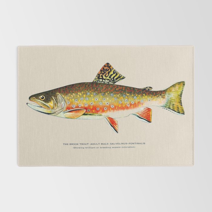 Brook Trout Rug Gallery Image 2