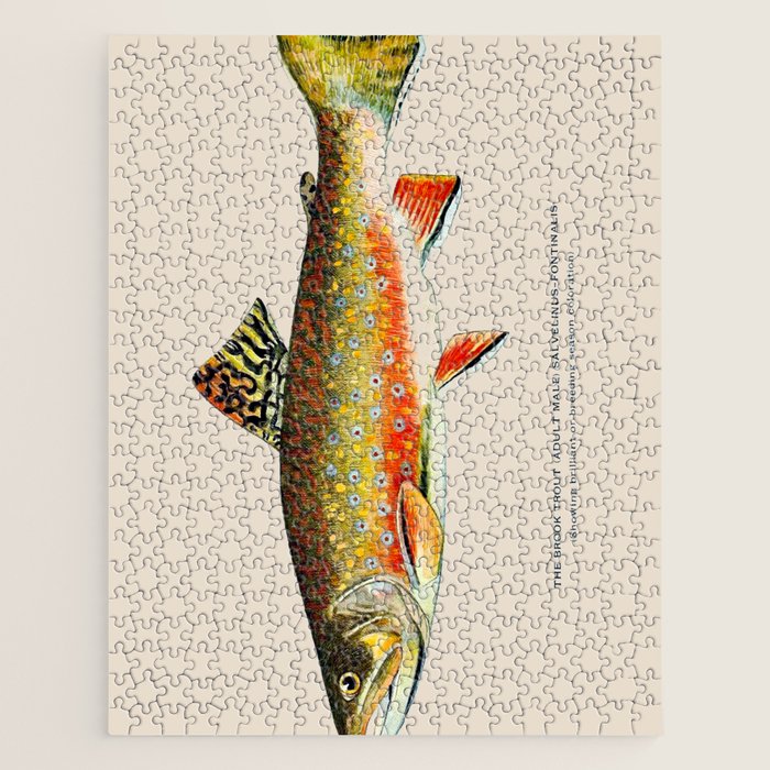 Brook Trout Jigsaw Puzzle Gallery Image 1