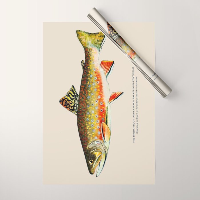 Brook Trout Wrapping Paper Gallery Image 1