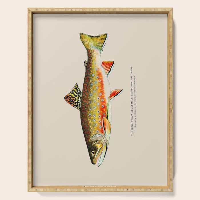Brook Trout Serving Tray Gallery Image 1