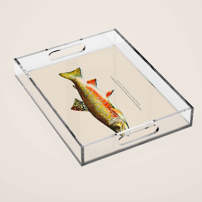 Brook Trout Acrylic Tray Gallery Image 1