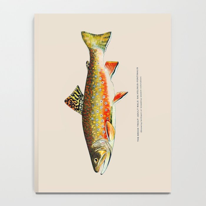 Brook Trout Notebook Gallery Image 4