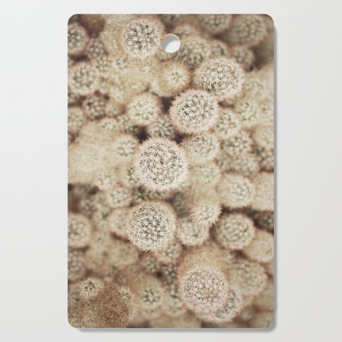 Chihuahuan Desert Cactus x West Texas Photography Cutting Board Gallery Image 1