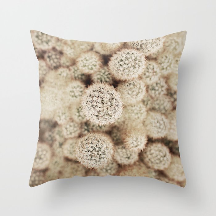 Chihuahuan Desert Cactus x West Texas Photography Throw Pillow Gallery Image 6