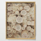 Chihuahuan Desert Cactus x West Texas Photography Serving Tray Gallery Image 1
