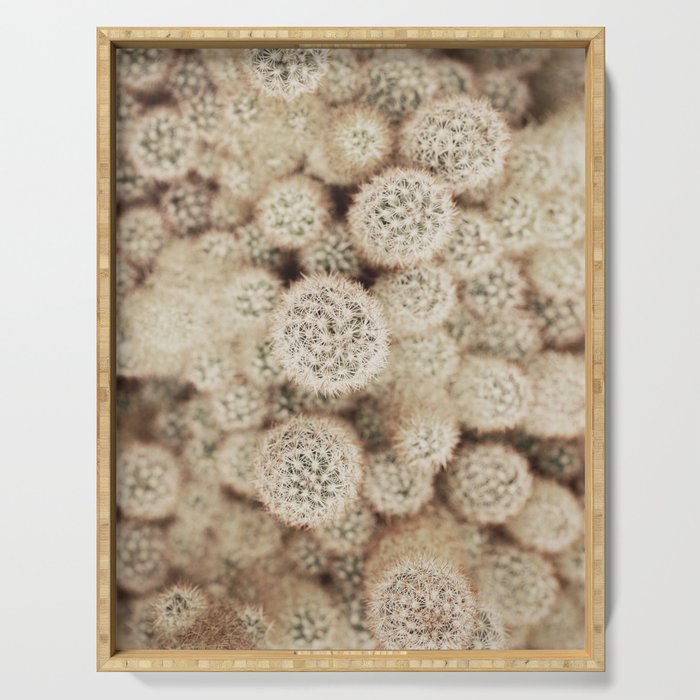 Chihuahuan Desert Cactus x West Texas Photography Serving Tray Gallery Image 1