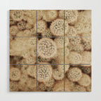 Chihuahuan Desert Cactus x West Texas Photography Wood Wall Art Gallery Image 1