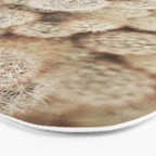 Chihuahuan Desert Cactus x West Texas Photography Bath Mat Gallery Image 3