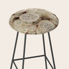 Chihuahuan Desert Cactus x West Texas Photography Stool Gallery Image 2