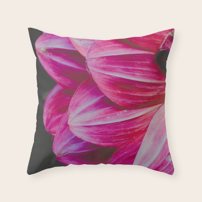 Dahlia 9 Throw Pillow Gallery Image 1
