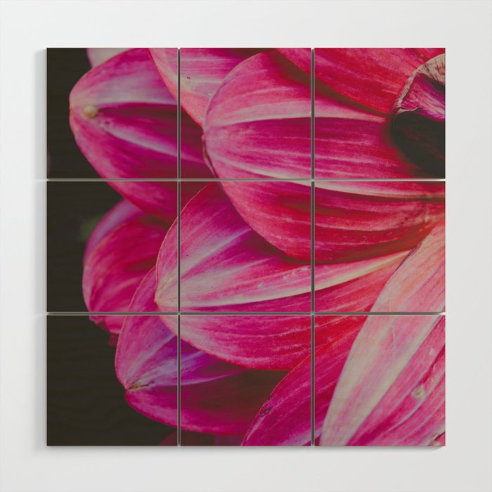 Dahlia 9 Wood Wall Art Gallery Image 1