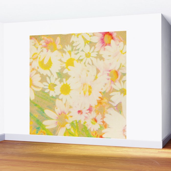 cassidy Wall Mural Gallery Image 2