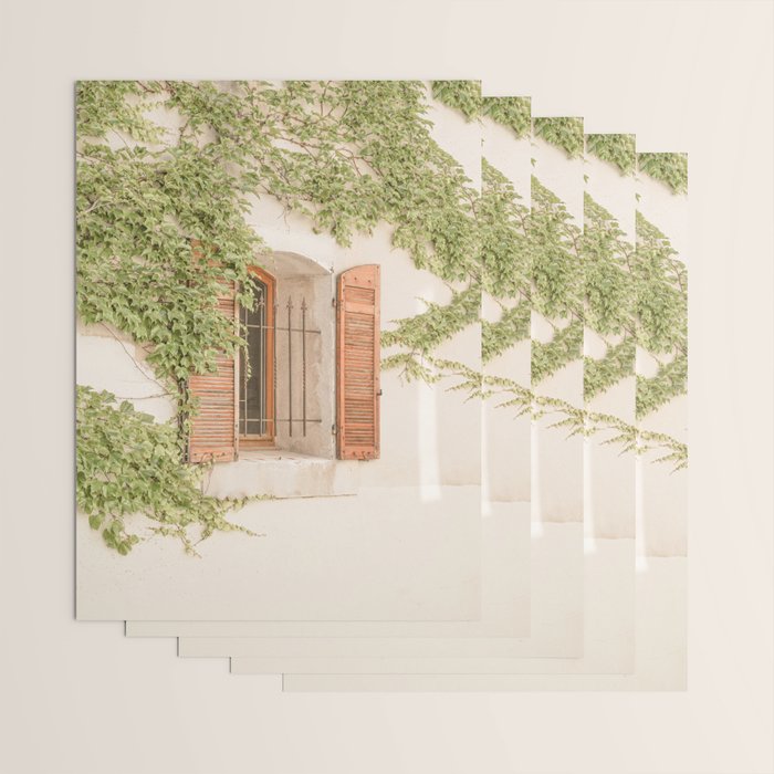 French Window Shutters Photo | Botanical Summer Art Print from Lyon | France Travel Photography Wrapping Paper Gallery Image 3