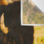 Buffalo Beauty Wall Tapestry Gallery Image 3