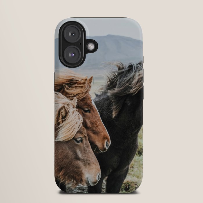 Thingeyrar, Iceland iPhone Case Gallery Image 9