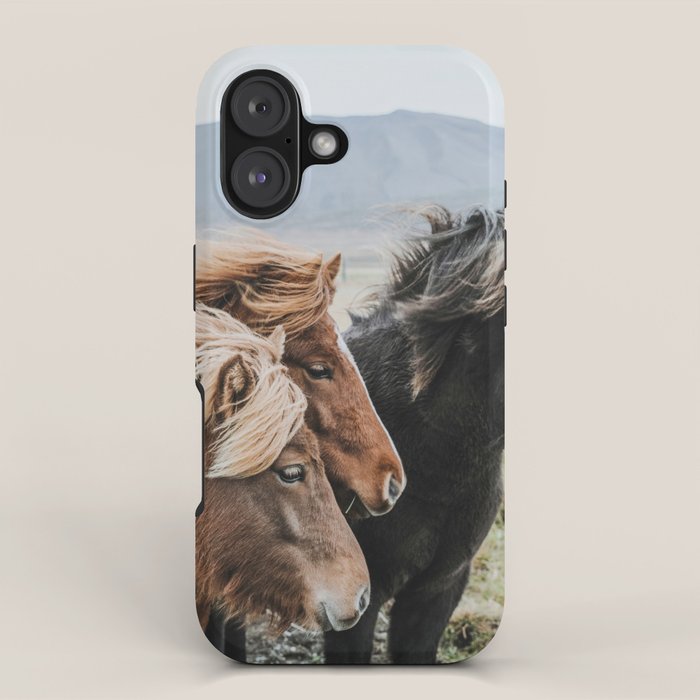 Thingeyrar, Iceland iPhone Case Gallery Image 1