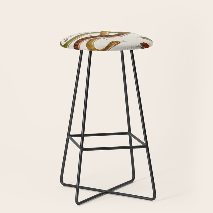 Snakes by Albertus Seba Stool Gallery Image 1