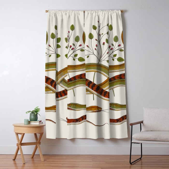 Snakes by Albertus Seba Window Curtain Gallery Image 5