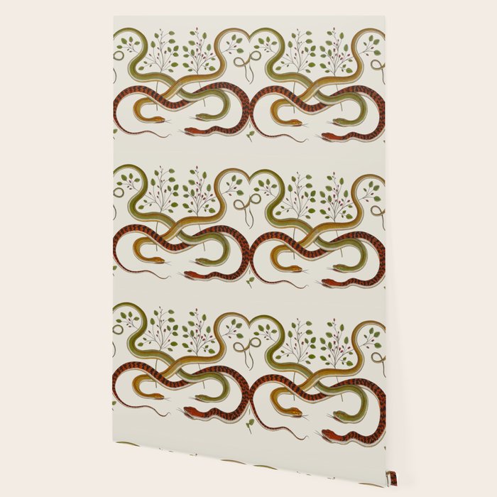 Snakes by Albertus Seba Wallpaper Gallery Image 2