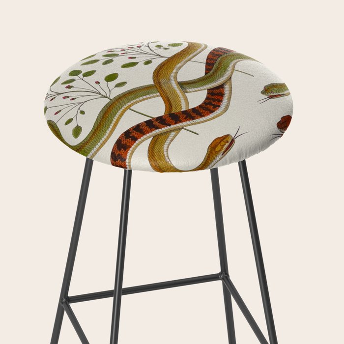 Snakes by Albertus Seba Stool Gallery Image 2