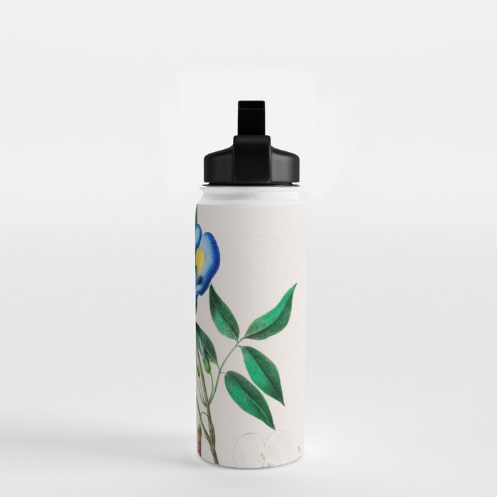Clitoria from "Flore dâAmÃ©rique" by Ãtienne Denisse, 1840s Water Bottle Gallery Image 2