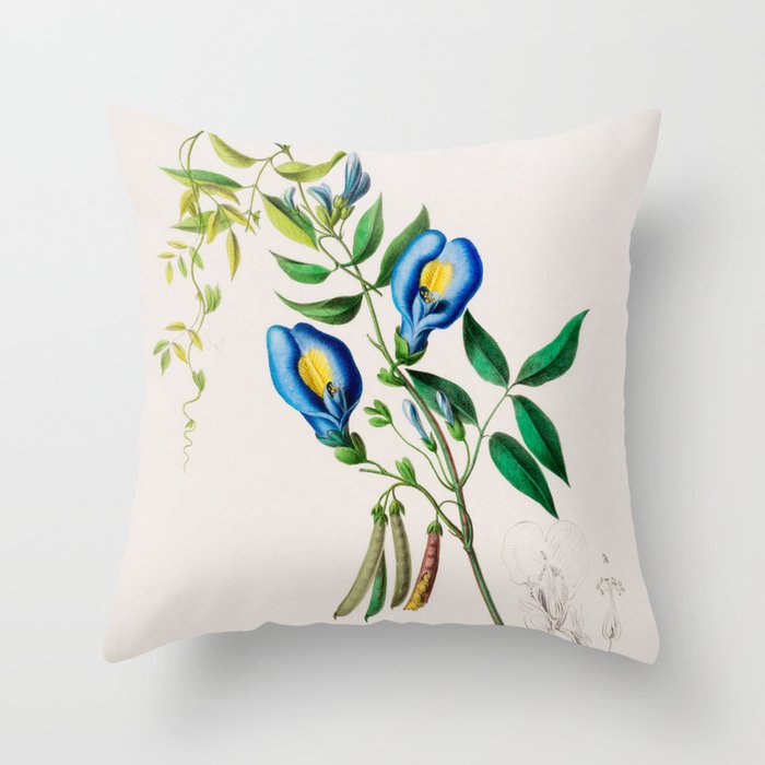 Clitoria from "Flore dâAmÃ©rique" by Ãtienne Denisse, 1840s Throw Pillow Gallery Image 1