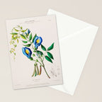 Clitoria from "Flore dâAmÃ©rique" by Ãtienne Denisse, 1840s Stationery Card Gallery Image 2