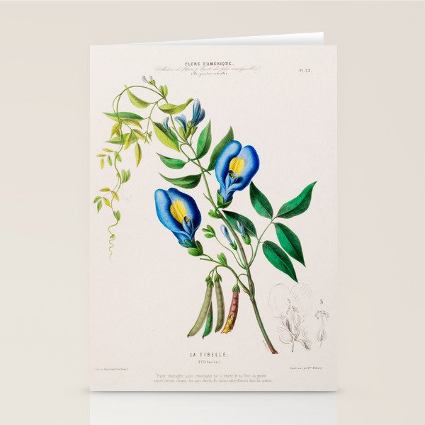Clitoria from "Flore dâAmÃ©rique" by Ãtienne Denisse, 1840s Stationery Card Gallery Image 2