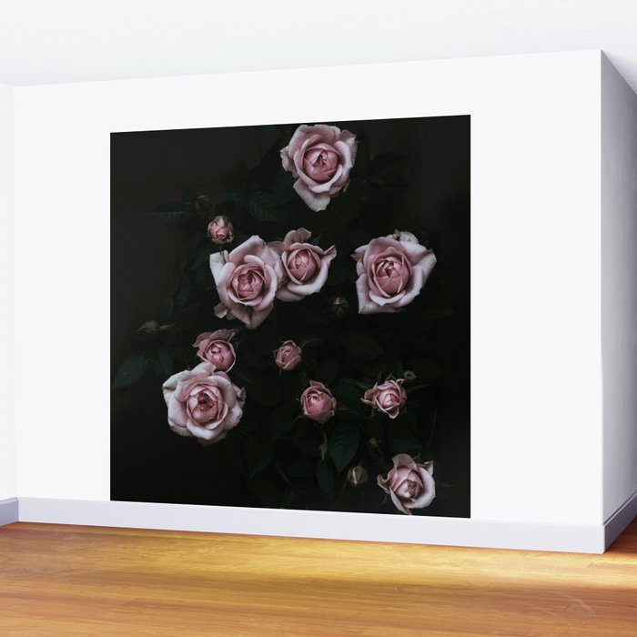 Velvet Rose Pink - Elegant Rose Flower photography by Ingrid Beddoes Wall Mural Gallery Image 2