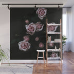 Velvet Rose Pink - Elegant Rose Flower photography by Ingrid Beddoes Wall Mural Gallery Image 1