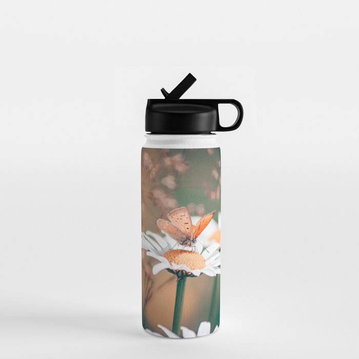 Butterfly on a daisy flower - summer nights Water Bottle Gallery Image 1