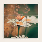 Butterfly on a daisy flower - summer nights Wood Wall Art Gallery Image 1