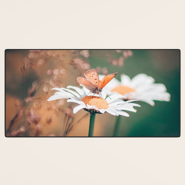 Butterfly on a daisy flower - summer nights Desk Mat Gallery Image 3
