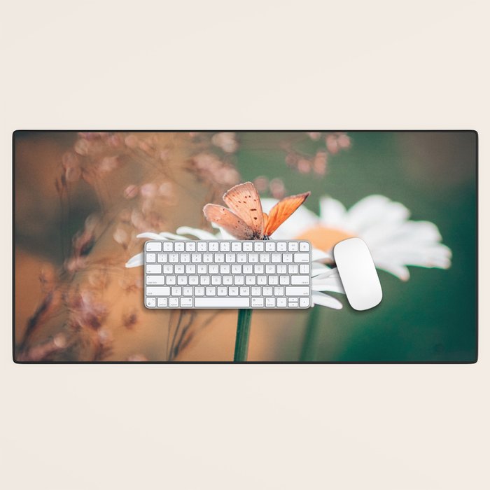 Butterfly on a daisy flower - summer nights Desk Mat Gallery Image 1