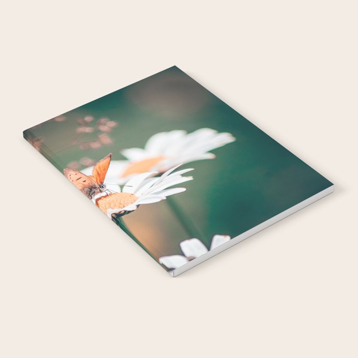 Butterfly on a daisy flower - summer nights Notebook Gallery Image 2