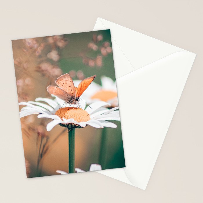 Butterfly on a daisy flower - summer nights Stationery Card Gallery Image 2