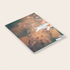 Butterfly on a daisy flower - summer nights Notebook Gallery Image 3