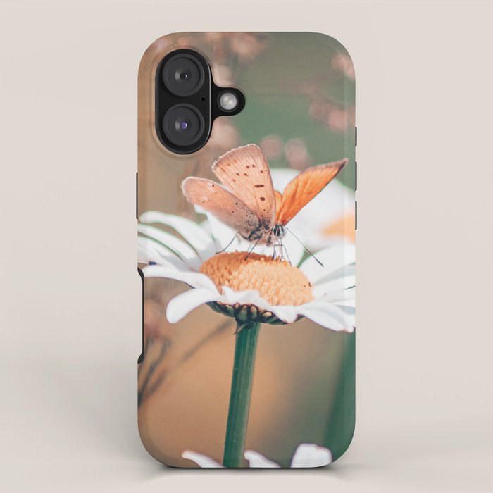 Butterfly on a daisy flower - summer nights iPhone Case Gallery Image 1
