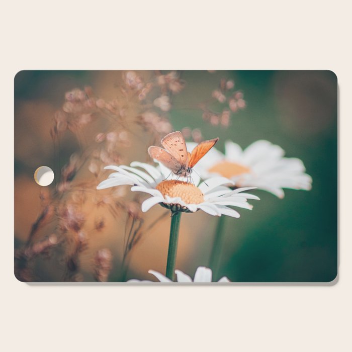 Butterfly on a daisy flower - summer nights Cutting Board Gallery Image 1