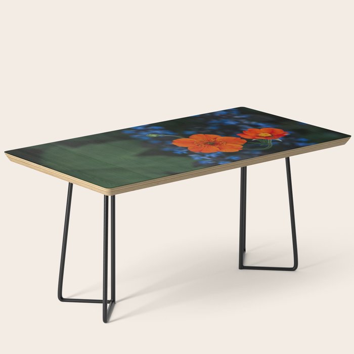 Bloom Time - Landscape and Nature Photography Coffee Table Gallery Image 1