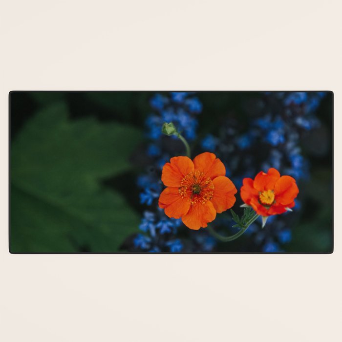 Bloom Time - Landscape and Nature Photography Desk Mat Gallery Image 3