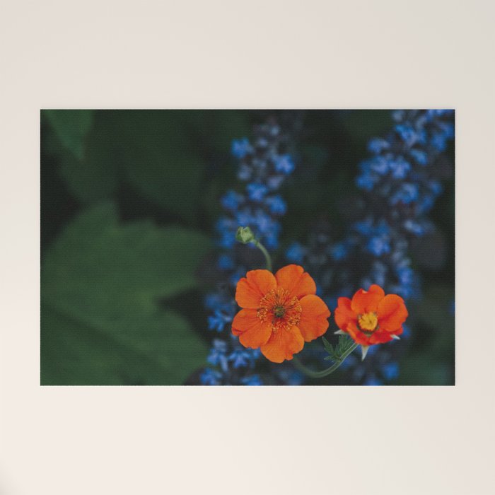 Bloom Time - Landscape and Nature Photography Welcome Mat Gallery Image 1