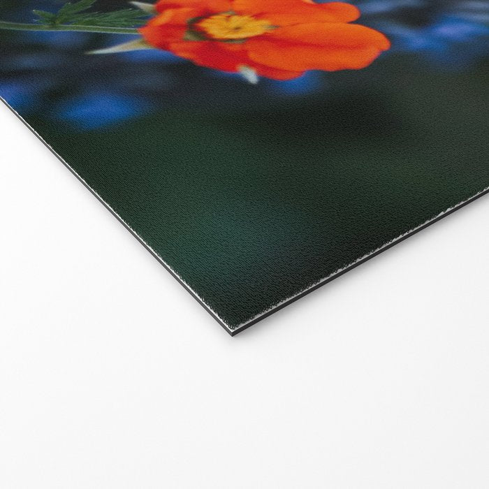 Bloom Time - Landscape and Nature Photography Welcome Mat Gallery Image 2