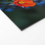 Bloom Time - Landscape and Nature Photography Welcome Mat Gallery Image 2