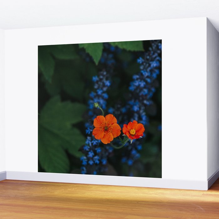 Bloom Time - Landscape and Nature Photography Wall Mural Gallery Image 2